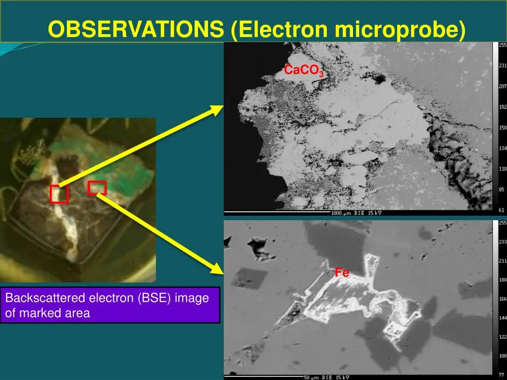 observations electron microprobe 1