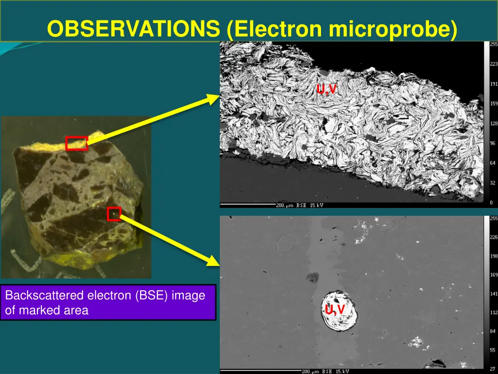 observations electron microprobe