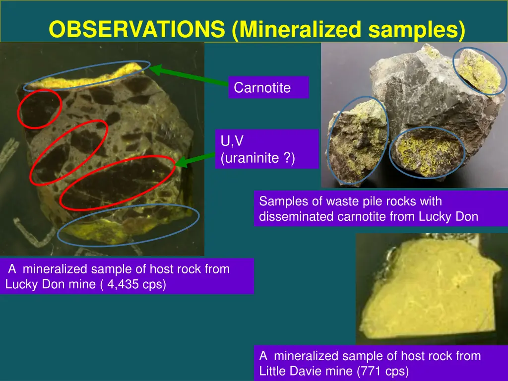 observations mineralized samples