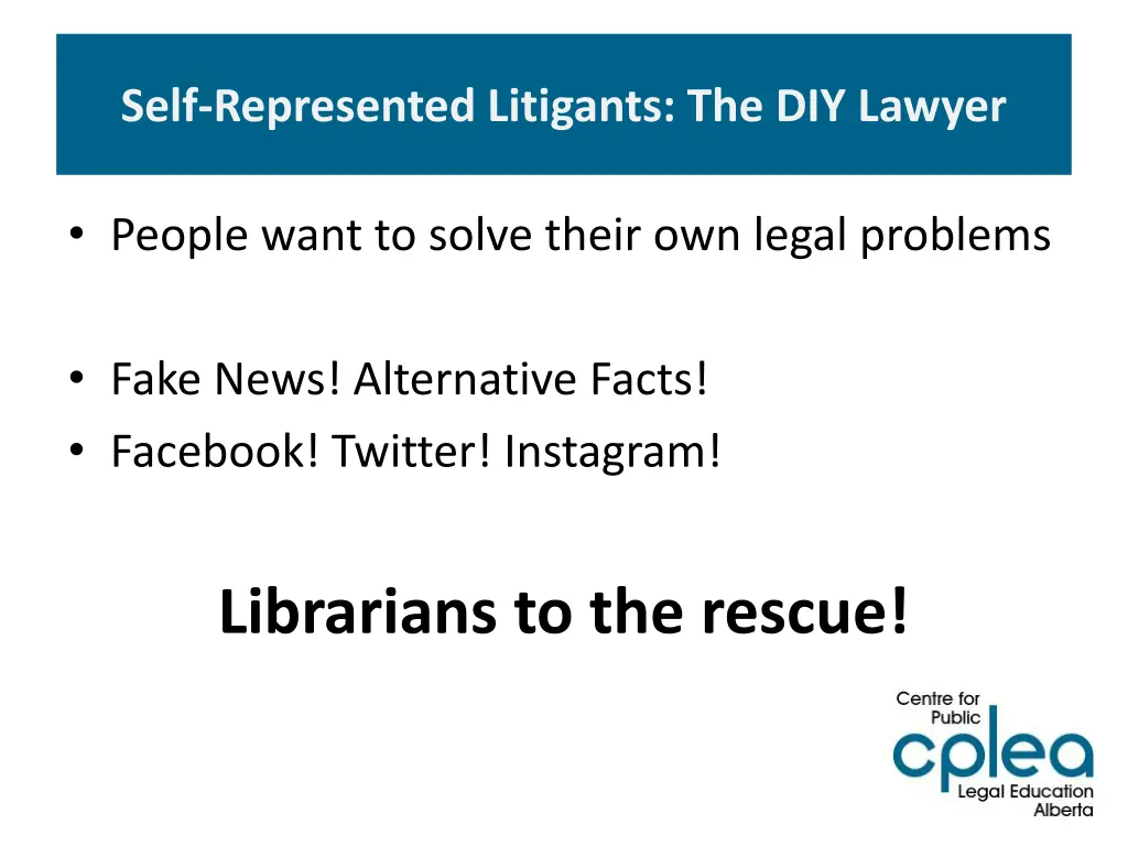 self represented litigants the diy lawyer