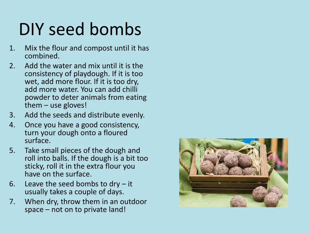 diy seed bombs