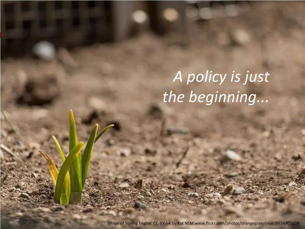 a policy is just the beginning