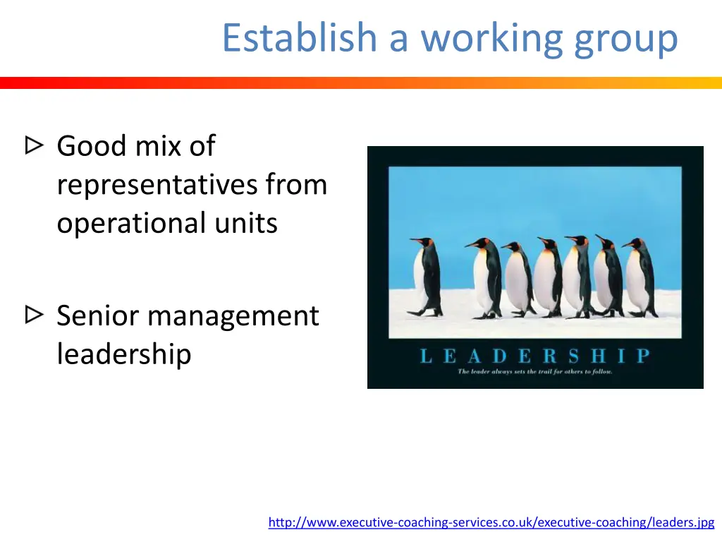 establish a working group