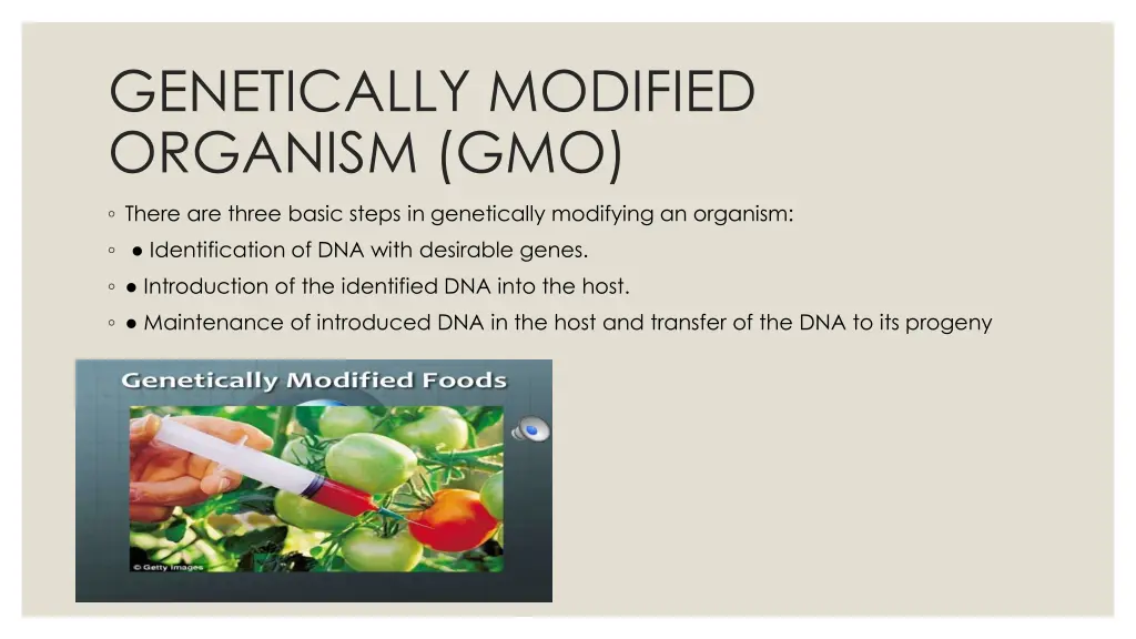 genetically modified organism gmo