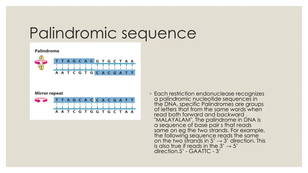 palindromic sequence