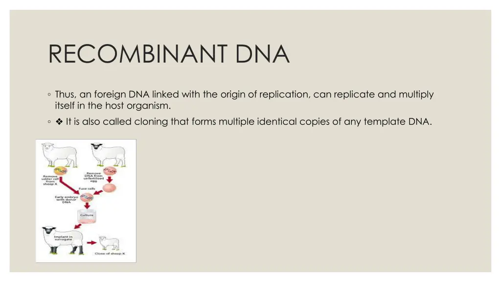 recombinant dna 2