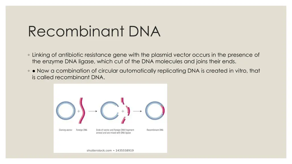 recombinant dna 3