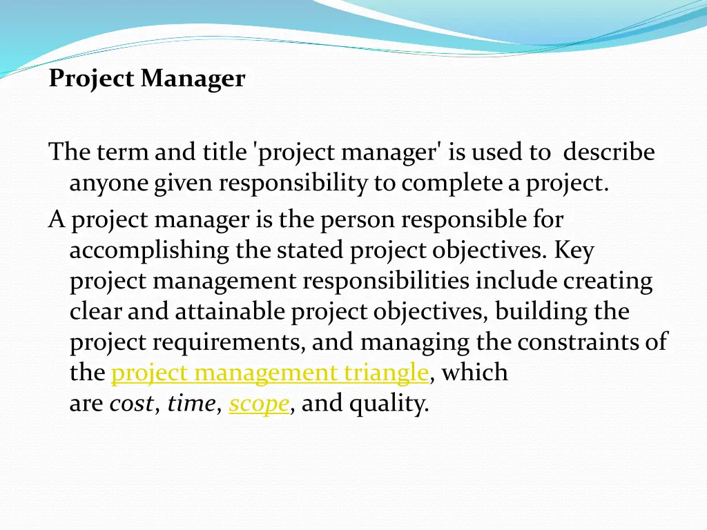 project manager