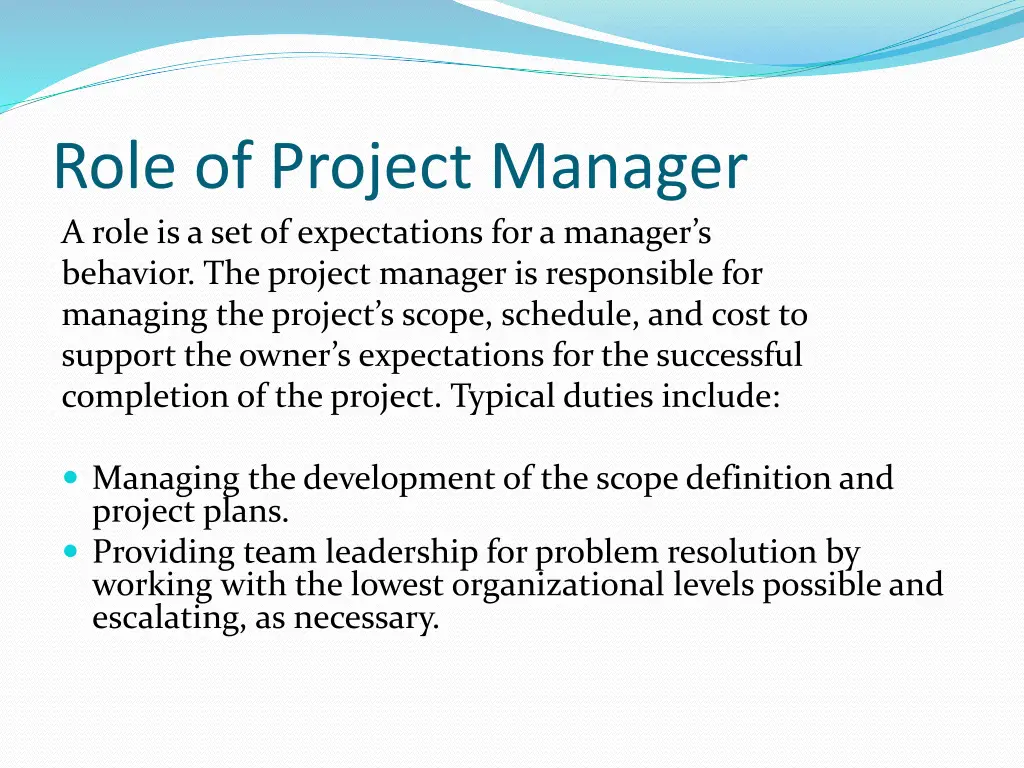 role of project manager a role