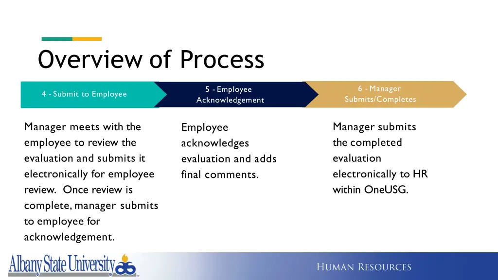 overview of process 1