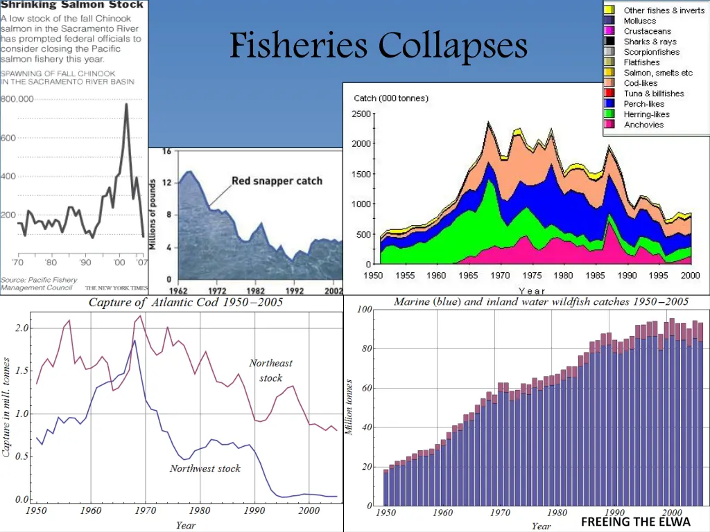 fisheries collapses 1