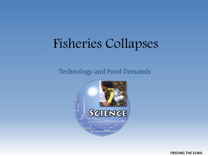 fisheries collapses