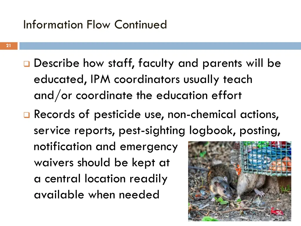 information flow continued