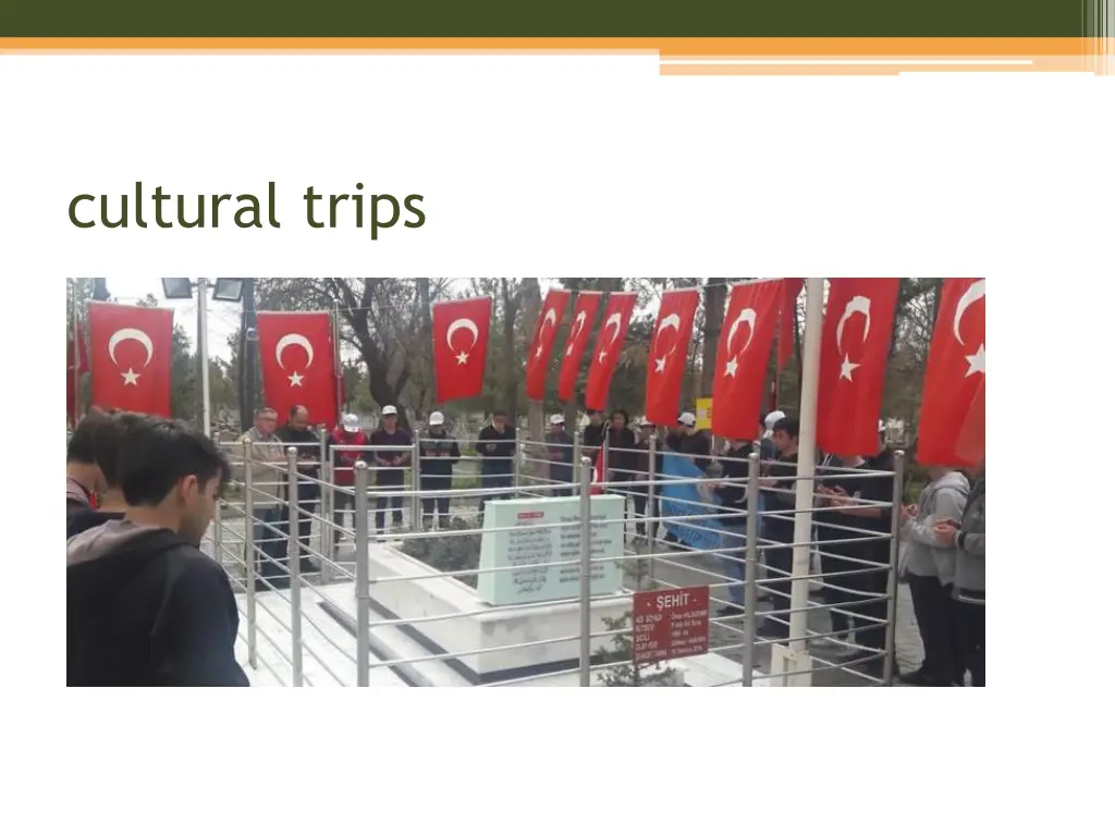 cultural trips