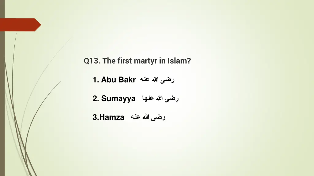 q13 the first martyr in islam