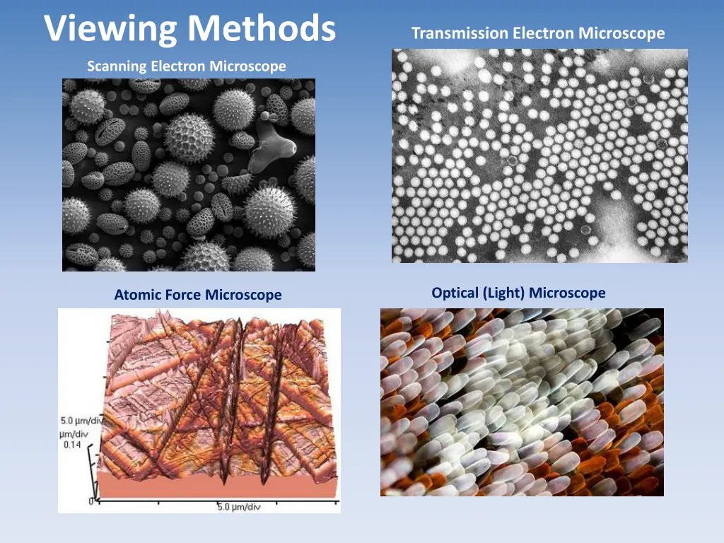 viewing methods