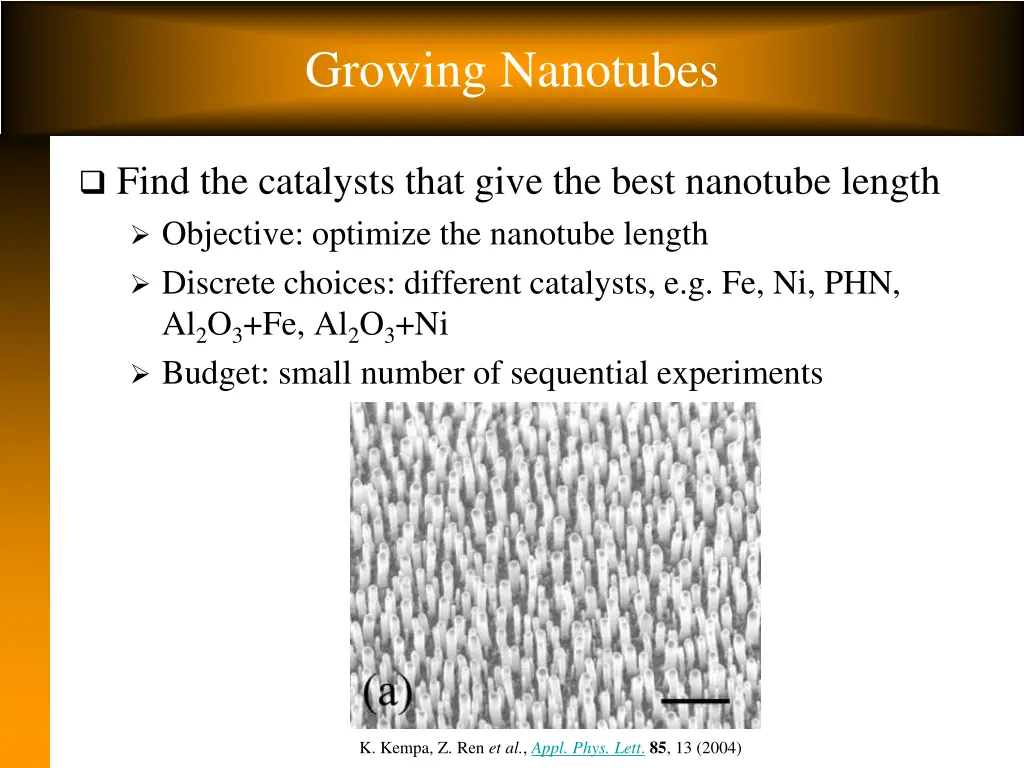 growing nanotubes 1