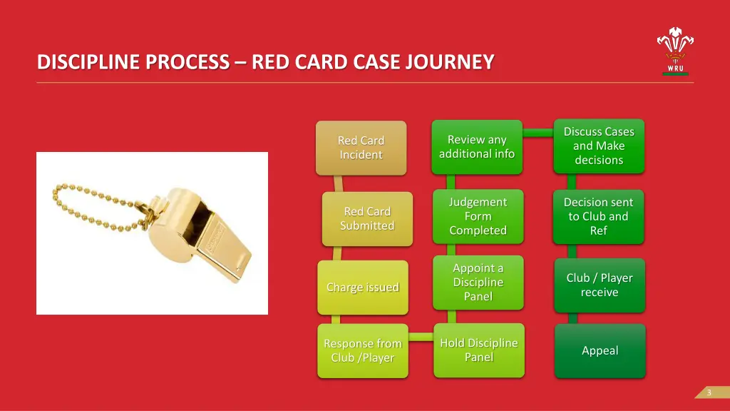 discipline process red card case journey