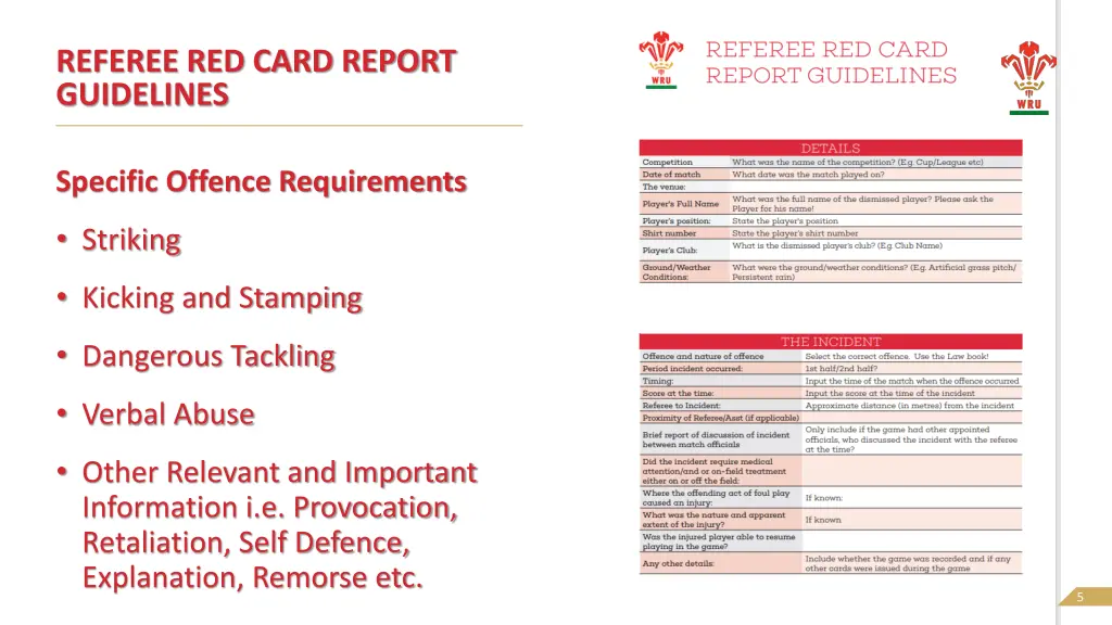 referee red card report guidelines