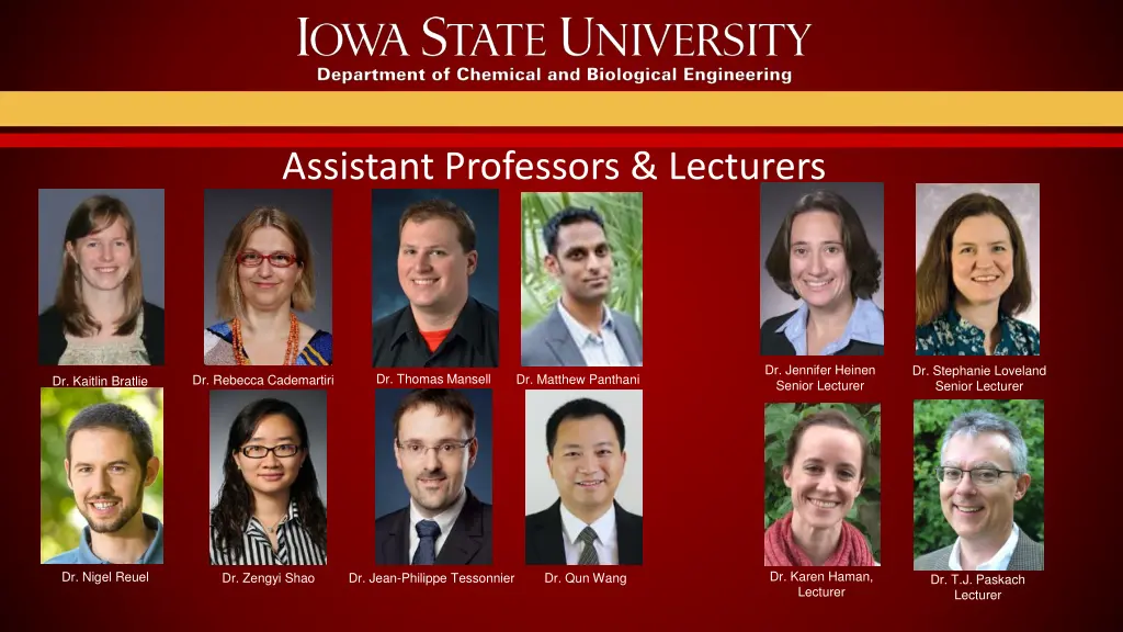 assistant professors lecturers