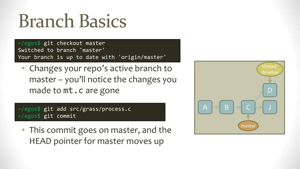 branch basics 1