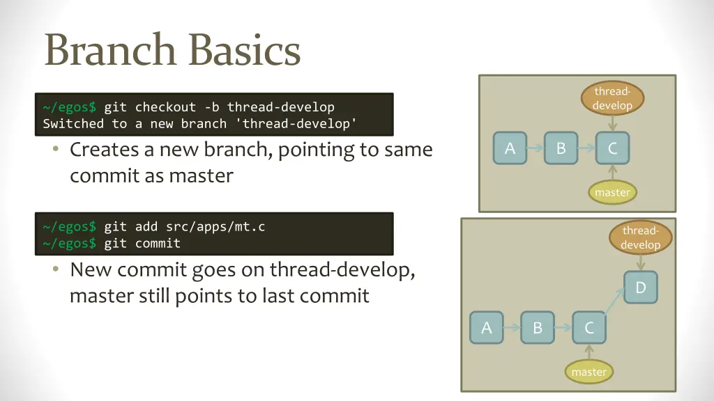 branch basics