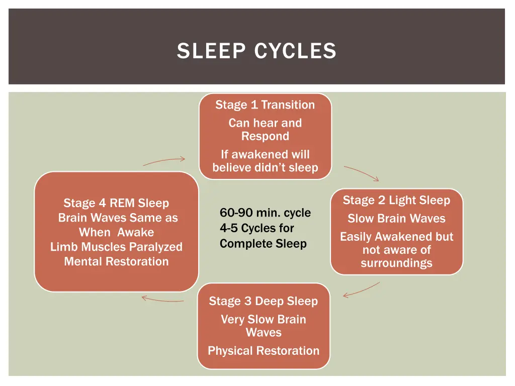 sleep cycles