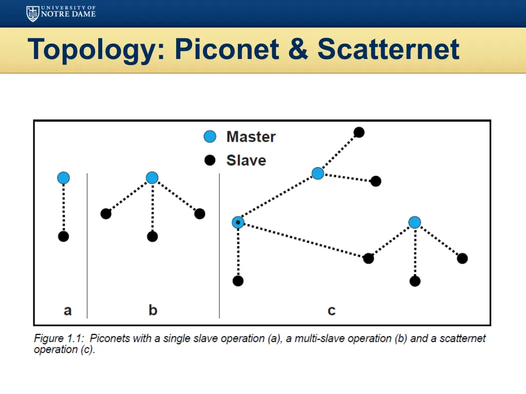 topology piconet scatternet