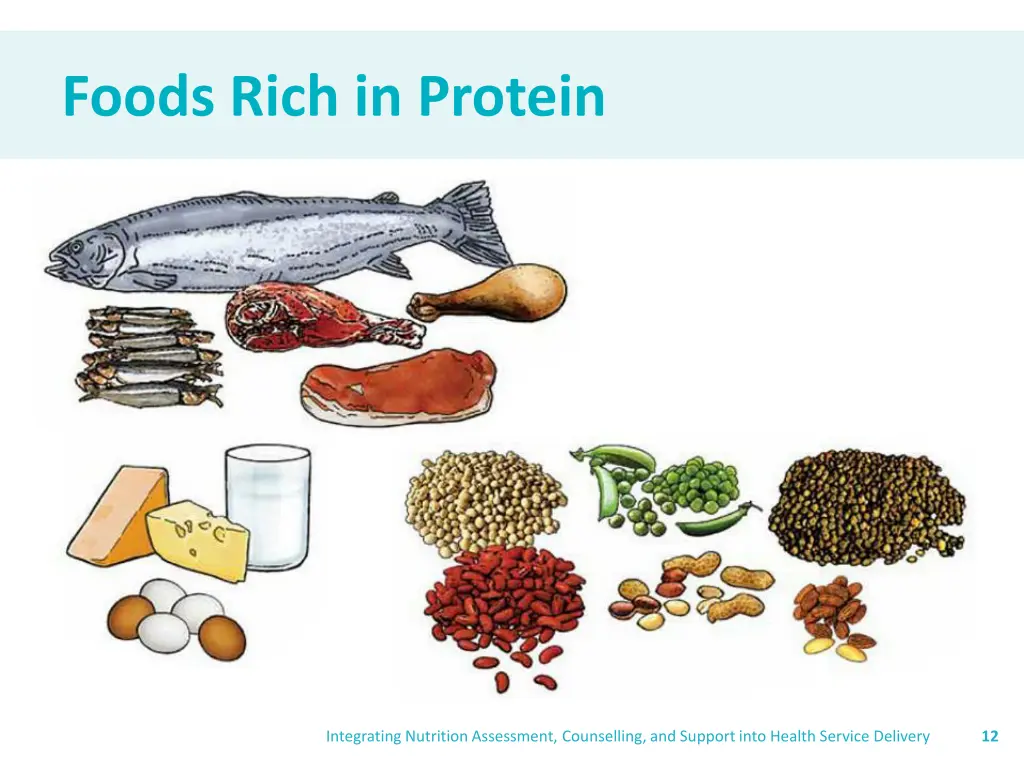 foods rich in protein