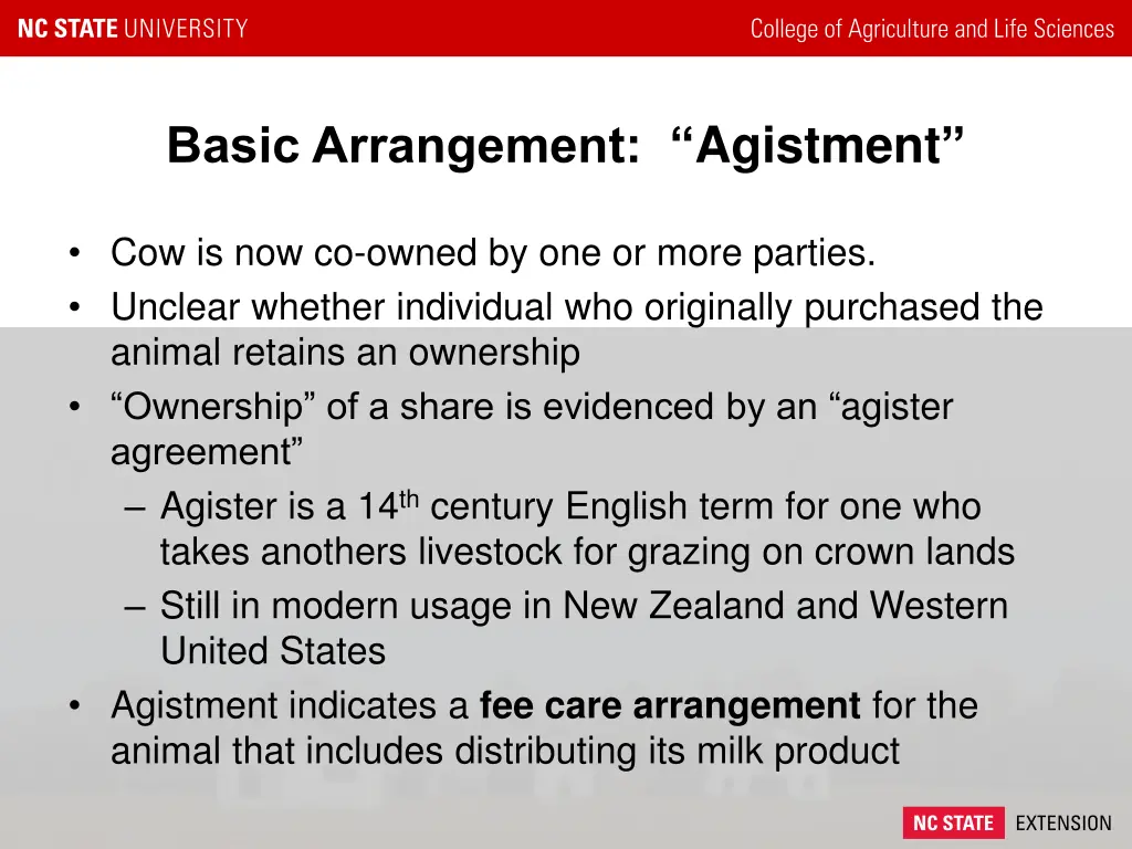 basic arrangement agistment