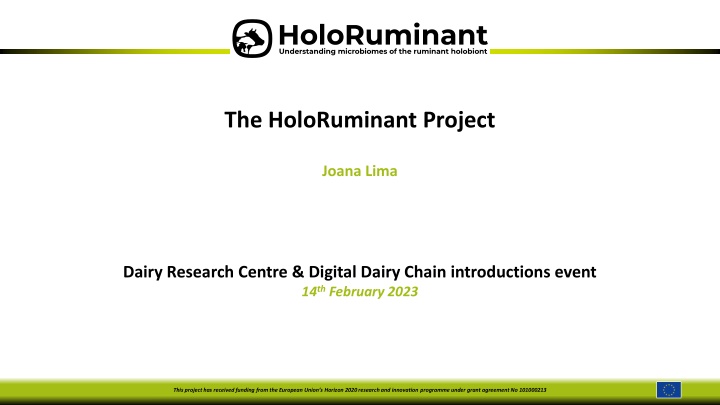 the holoruminant project