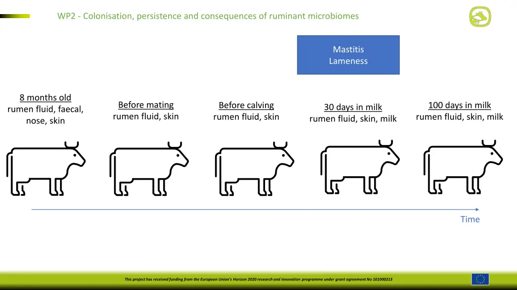 wp2 colonisation persistence and consequences 1