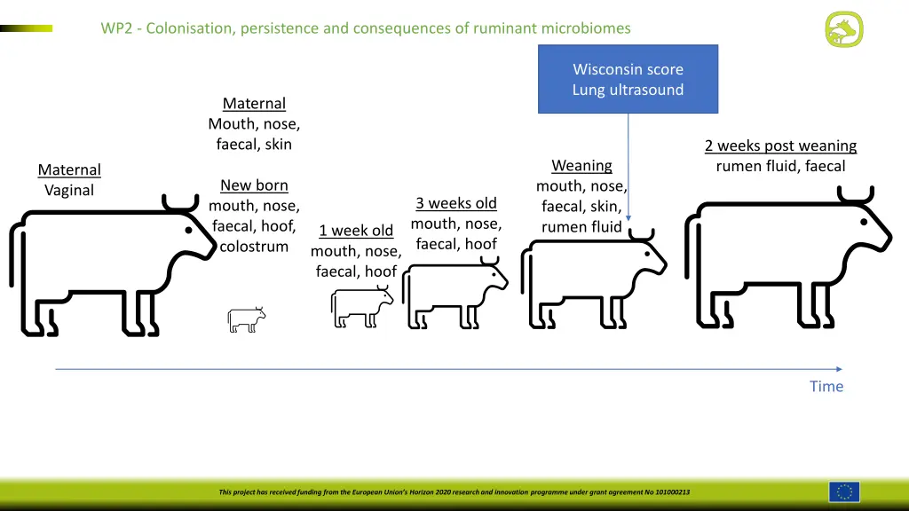 wp2 colonisation persistence and consequences