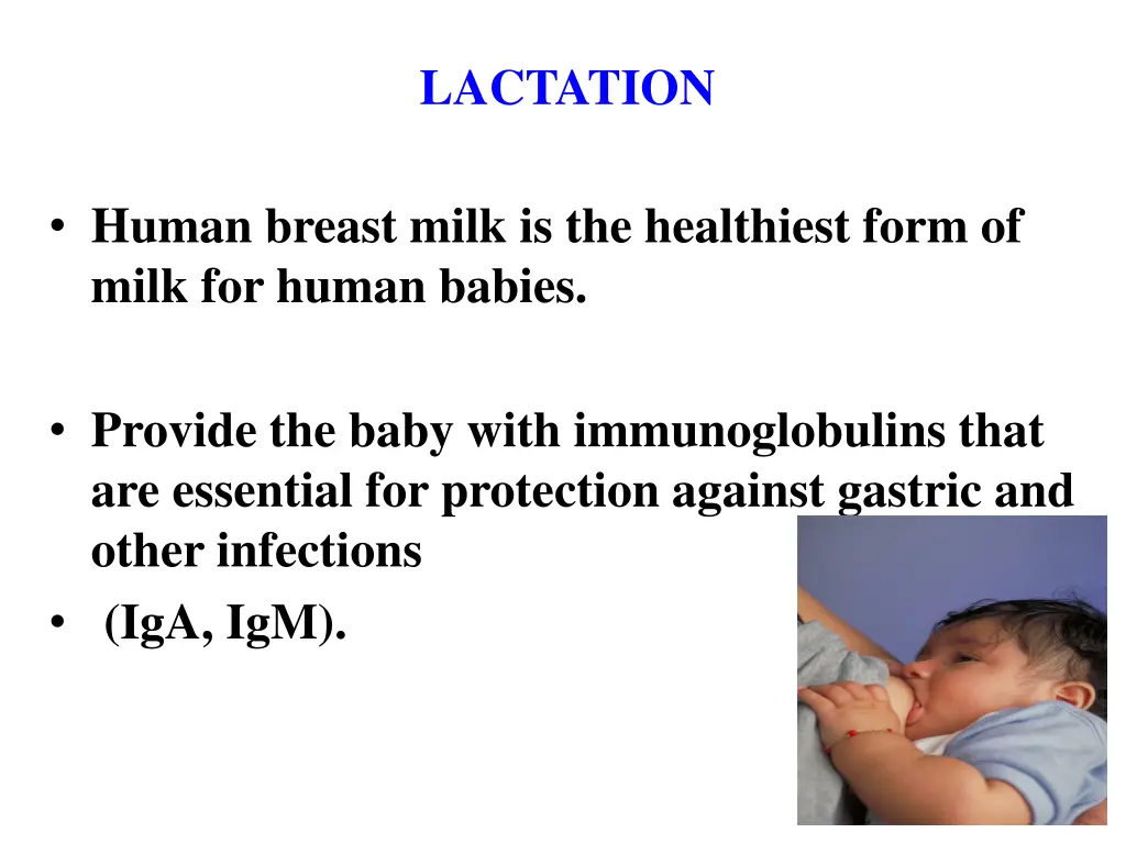 lactation