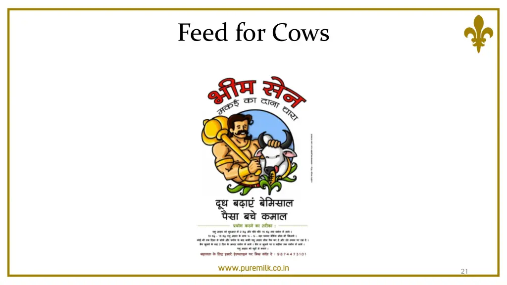 feed for cows