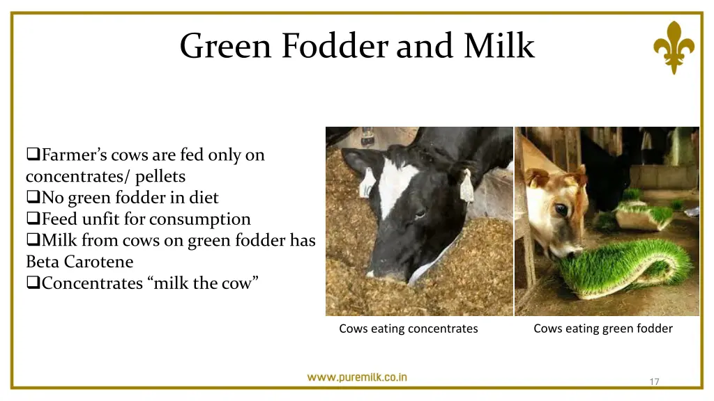 green fodder and milk