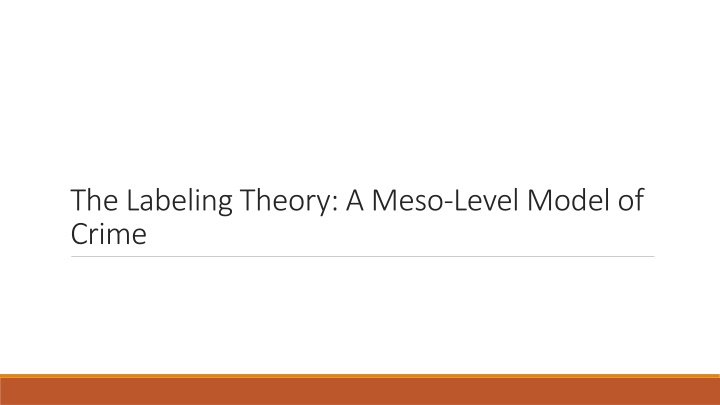 the labeling theory a meso level model of crime