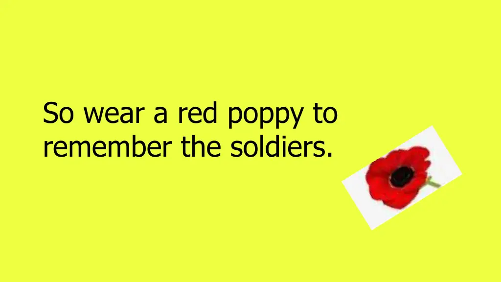 so wear a red poppy to remember the soldiers