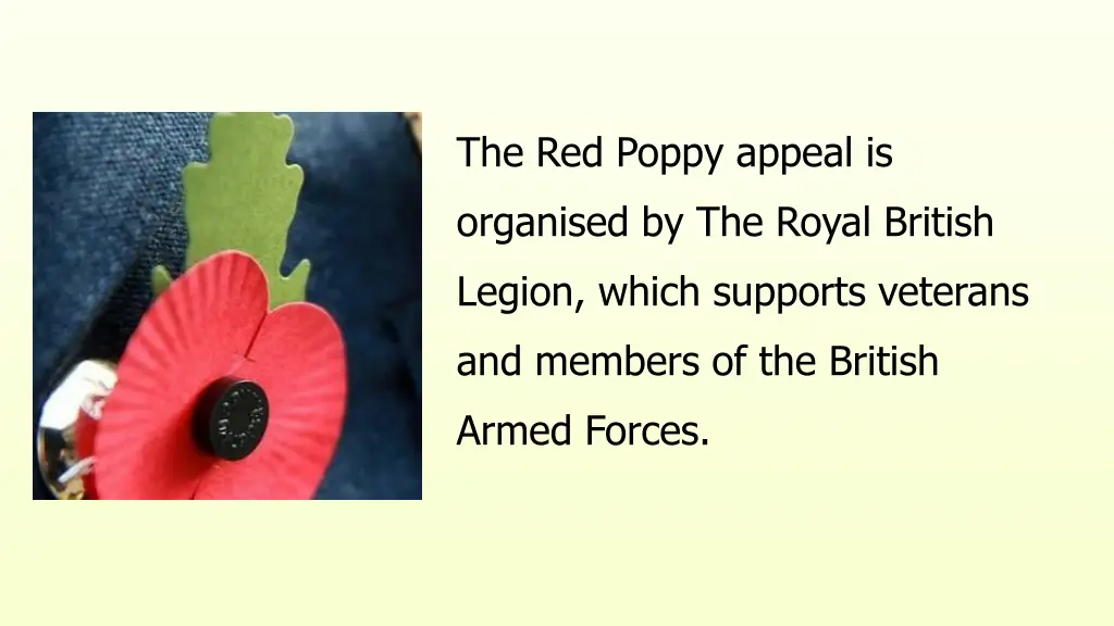 the red poppy appeal is