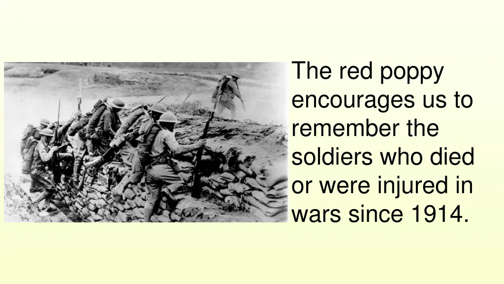 the red poppy encourages us to remember