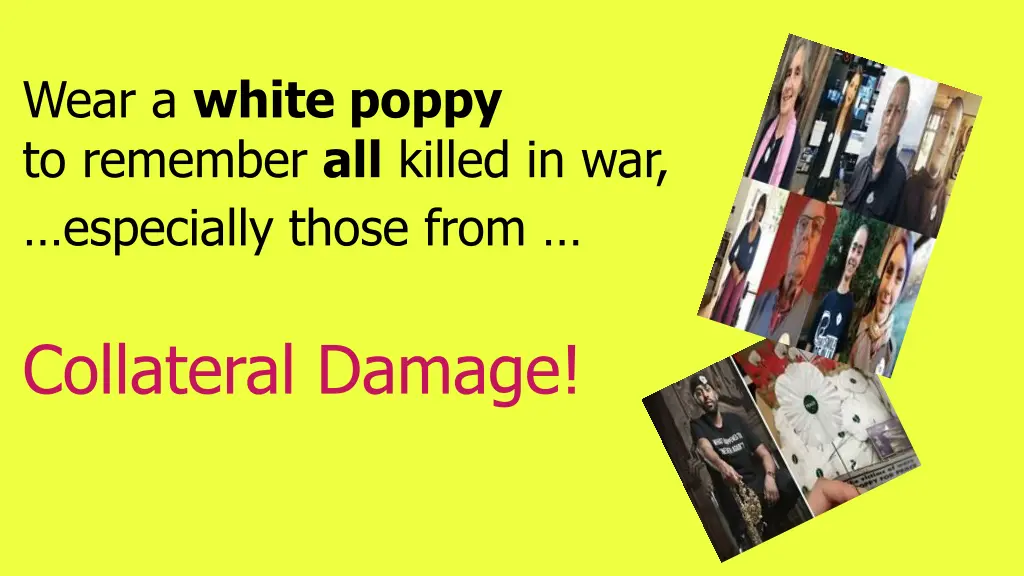 wear a white poppy to remember all killed