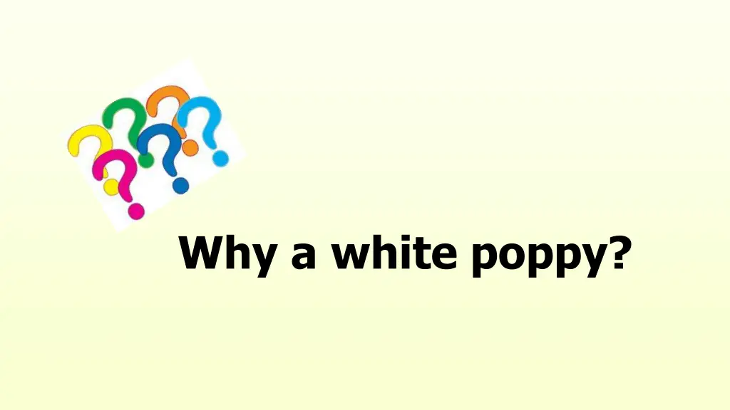 why a white poppy