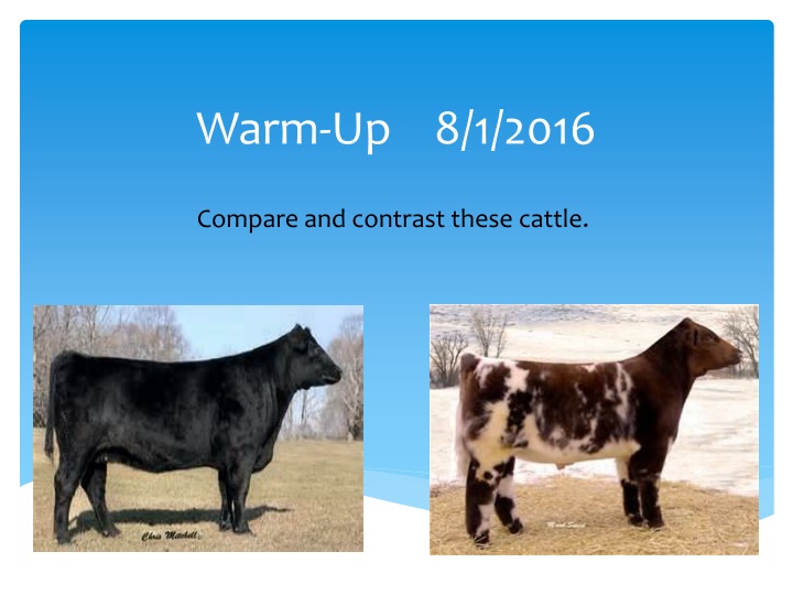 warm up 8 1 2016