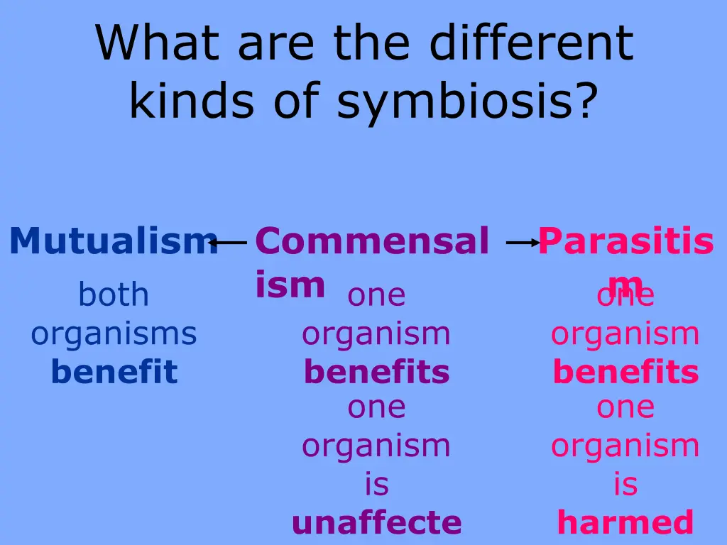 what are the different kinds of symbiosis