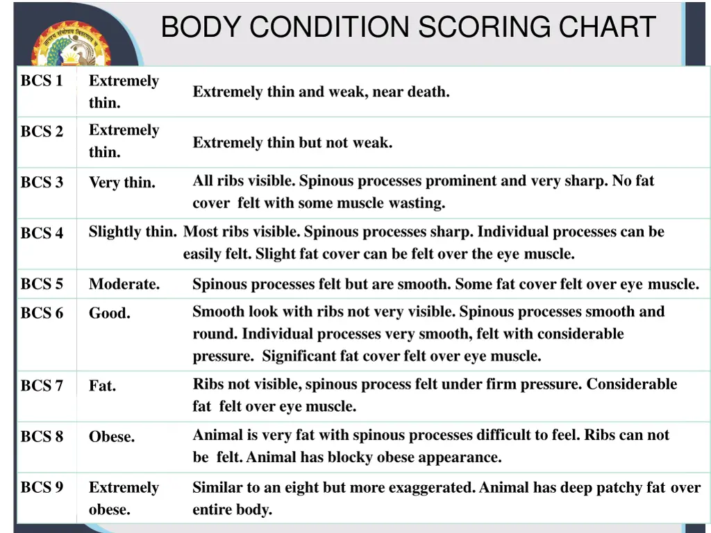 body condition scoring chart