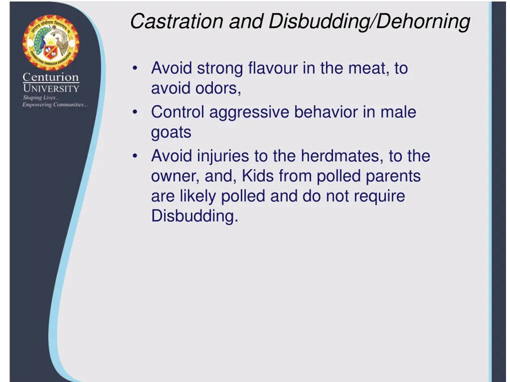 castration and disbudding dehorning