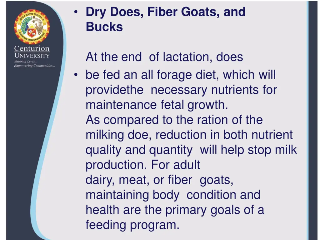 dry does fiber goats and bucks