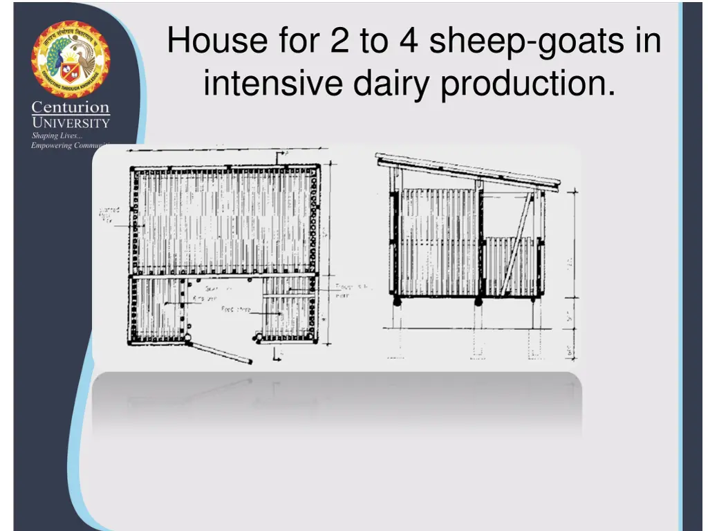 house for 2 to 4 sheep goats in intensive dairy