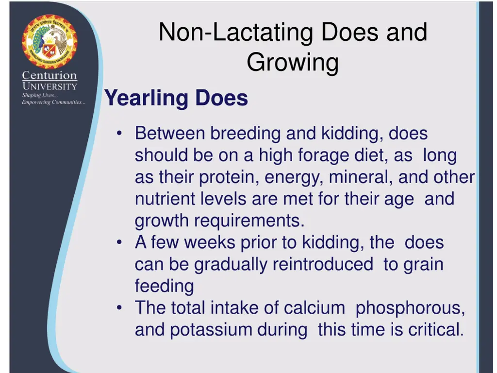 non lactating does and growing yearling does