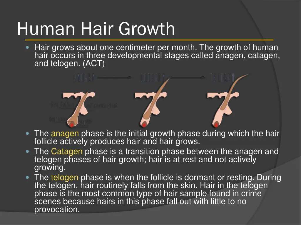 human hair growth hair grows about one centimeter